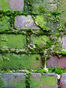 DALEP  UC éco·R Traitement Ultra Concentré - Bidon 1L