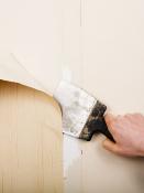 DALEP D'COL Décolleur Papier Peint - Bidon 1L