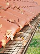 DALEP STOP FEUILLES Gris - Longueur 1m