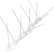 DALEP BIRD GUARD 4 Pics Anti-Oiseaux - Longueur 1m (2x50cm)