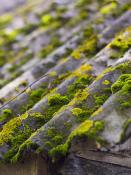 DALEP  PE Traitement Prêt à l'Emploi - Bidon 30L