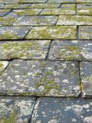 DALEP  UC Traitement Ultra Concentré - Bidon 1L