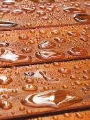 DALEP HYDROBOIS Hydrofuge Prêt à l'Emploi - Bidon 5L