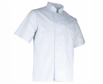 LMA Veste de cuisinier blanche manches courtes AUBERGINE 2175 - T1