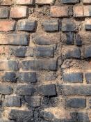 DALEP NET 1 éco·R Nettoyant Concentré - Bidon 5L