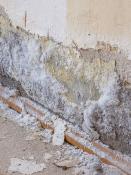 DALEP ANTI-SALPÊTRE Traitement Prêt à l'Emploi - Bidon 5L